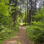 Nad údolím šumava Prachatice