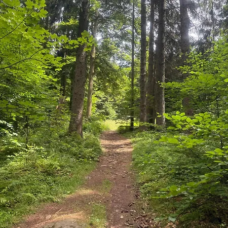 Nad údolím šumava Prachatice