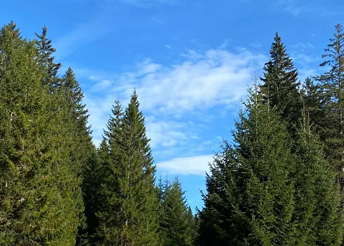 Nad údolím šumava Prachatice
