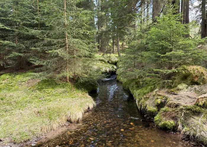Nad údolím šumava Prachatice
